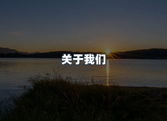专业团队